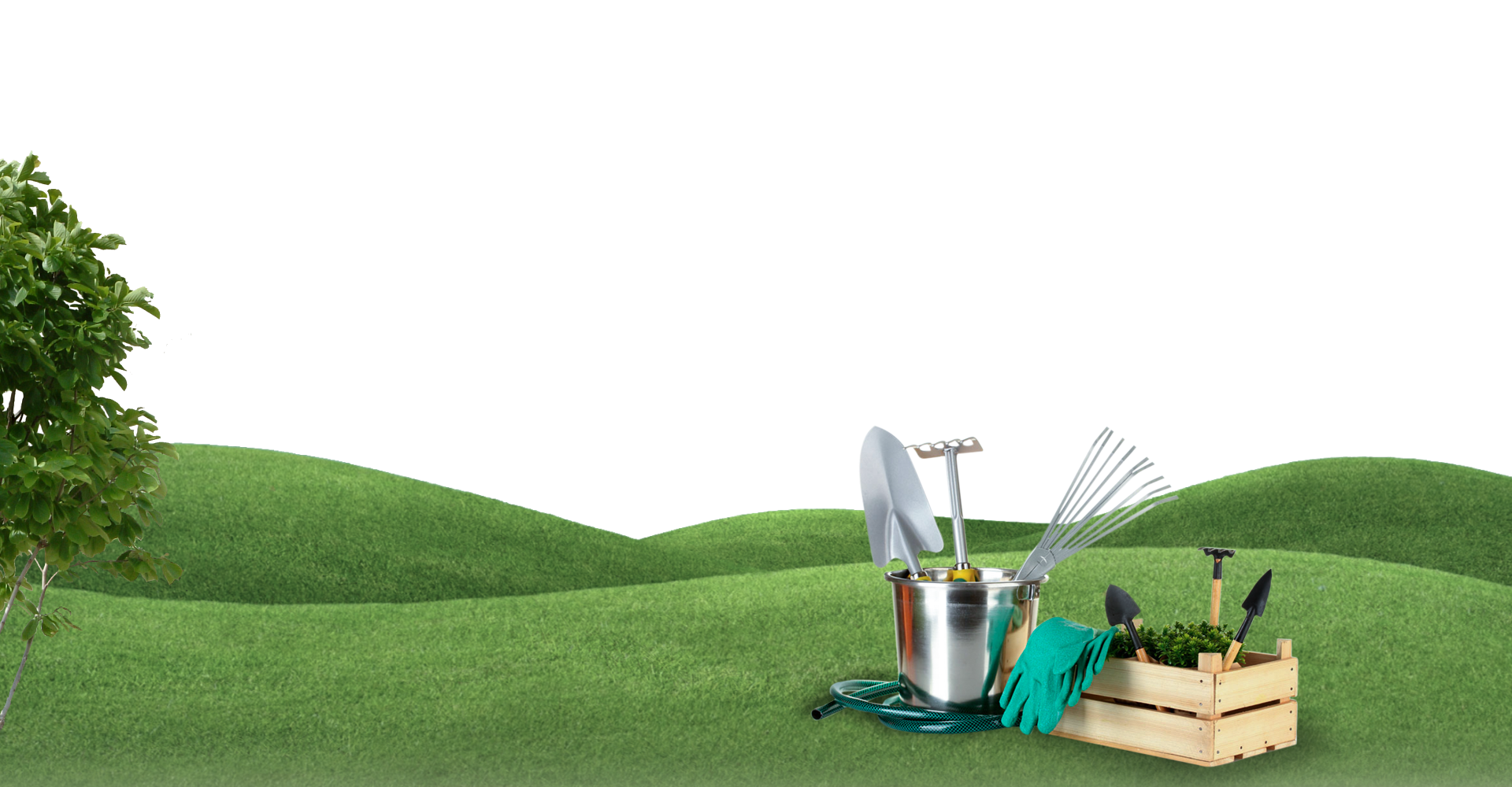 Услуги ландшафтный дизайн